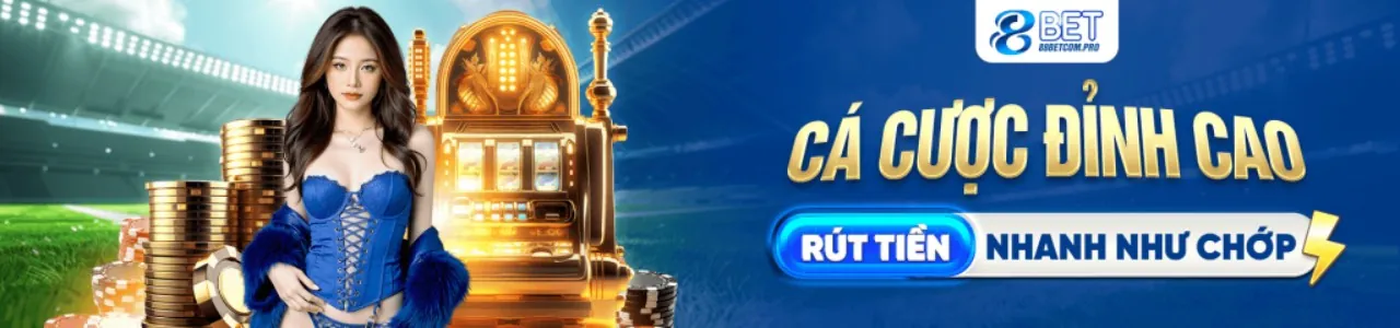 Hình ảnh minh họa bảo mật dữ liệu và quyền riêng tư của 678win iOS